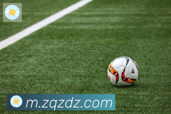 leyu乐鱼官方网站APP 封面图